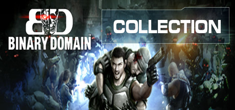 Cover image of  Binary Domain