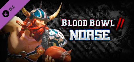 Cover image of  Blood Bowl 2 - Norse