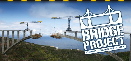 Cover image of  Bridge Project