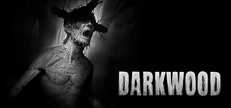 Cover image of  Darkwood