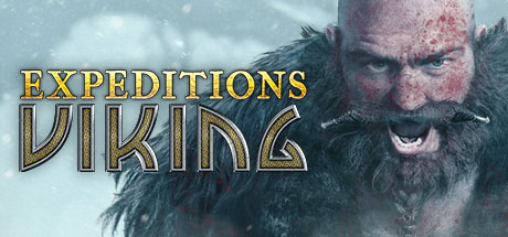 Cover image of  Expeditions: Viking