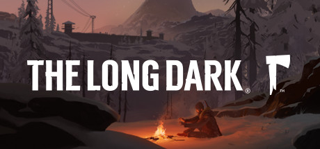 Cover image of  The Long Dark