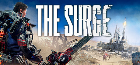 Cover image of  The Surge