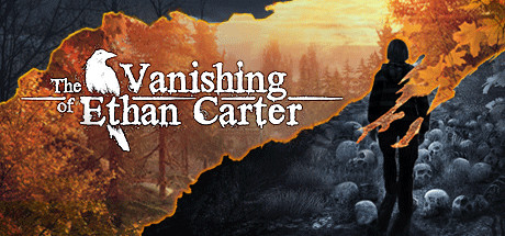 Cover image of  The Vanishing of Ethan Carter