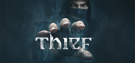 Cover image of  Thief