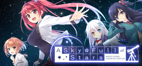 Cover image of  A Sky Full of Stars