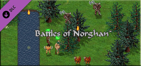 Cover image of  Battles of Norghan Gold Version