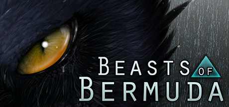 Cover image of  Beasts of Bermuda