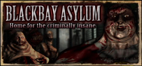 Cover image of  Blackbay Asylum