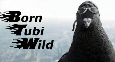 Born Tubi Wild