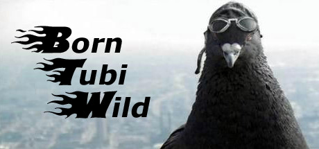 Cover image of  Born Tubi Wild