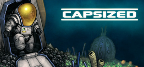 Cover image of  Capsized