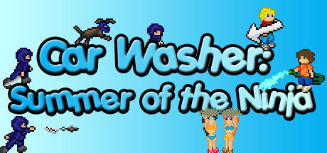 Cover image of  Car Washer: Summer of the Ninja