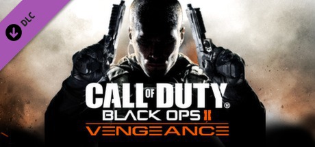 Cover image of  CoD Call of Duty: Black Ops 2 - Vengeance