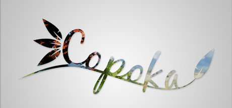 Cover image of  Copoka