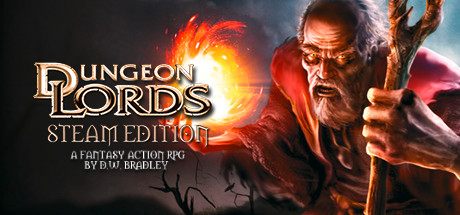 Cover image of  Dungeon Lords Steam Edition