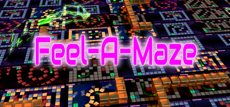 Cover image of  Feel-A-Maze