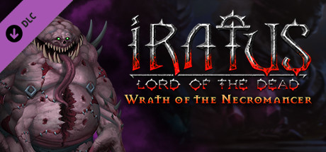 Cover image of  Iratus: Wrath of the Necromancer