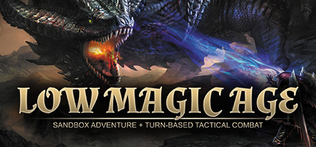 Cover image of  Low Magic Age