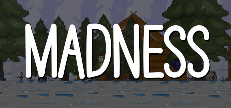 Cover image of  Madness