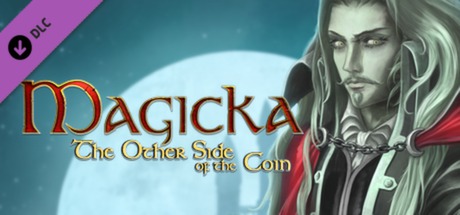 Cover image of  Magicka: The Other Side of the Coin