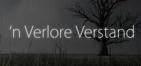 Cover image of  'n Verlore Verstand