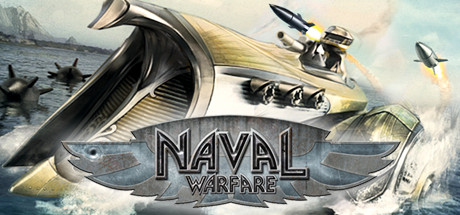 Cover image of  Naval Warfare