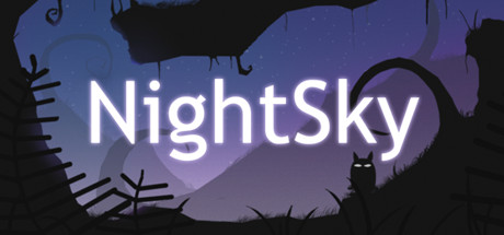 Cover image of  NightSky