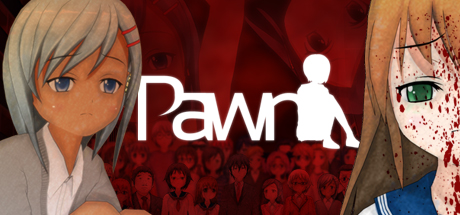 Cover image of  Pawn