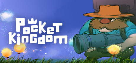 Cover image of  Pocket Kingdom