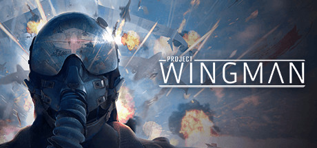 Cover image of  Project Wingman