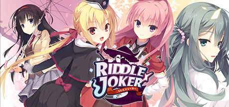 Cover image of  Riddle Joker