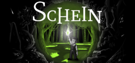 Cover image of  Schein