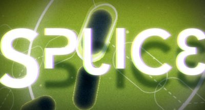 Splice