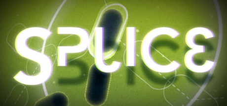 Cover image of  Splice