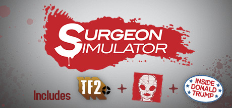 Cover image of  Surgeon Simulator 2013