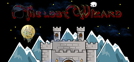 Cover image of  The Lost Wizard