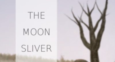 The Moon Sliver