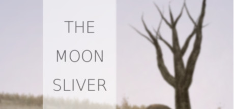 Cover image of  The Moon Sliver