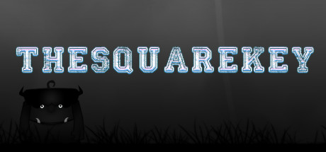 Cover image of  The Square Key