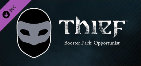 Cover image of  Thief - Opportunist