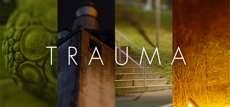 Cover image of  Trauma