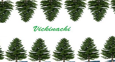 Vickinachi