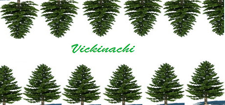 Cover image of  Vickinachi