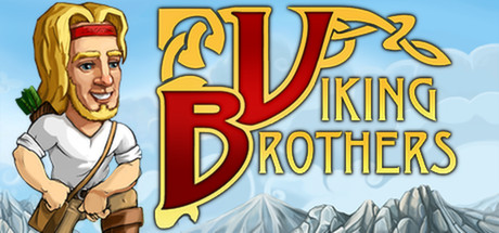 Cover image of  Viking Brothers