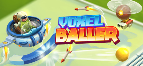 Cover image of  Voxel Baller