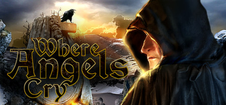 Cover image of  Where Angels Cry