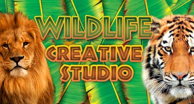 Wildlife Creative Studio