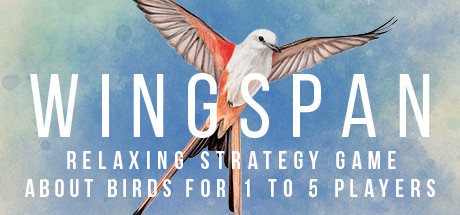 Cover image of  Wingspan