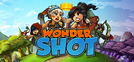 Cover image of  Wondershot